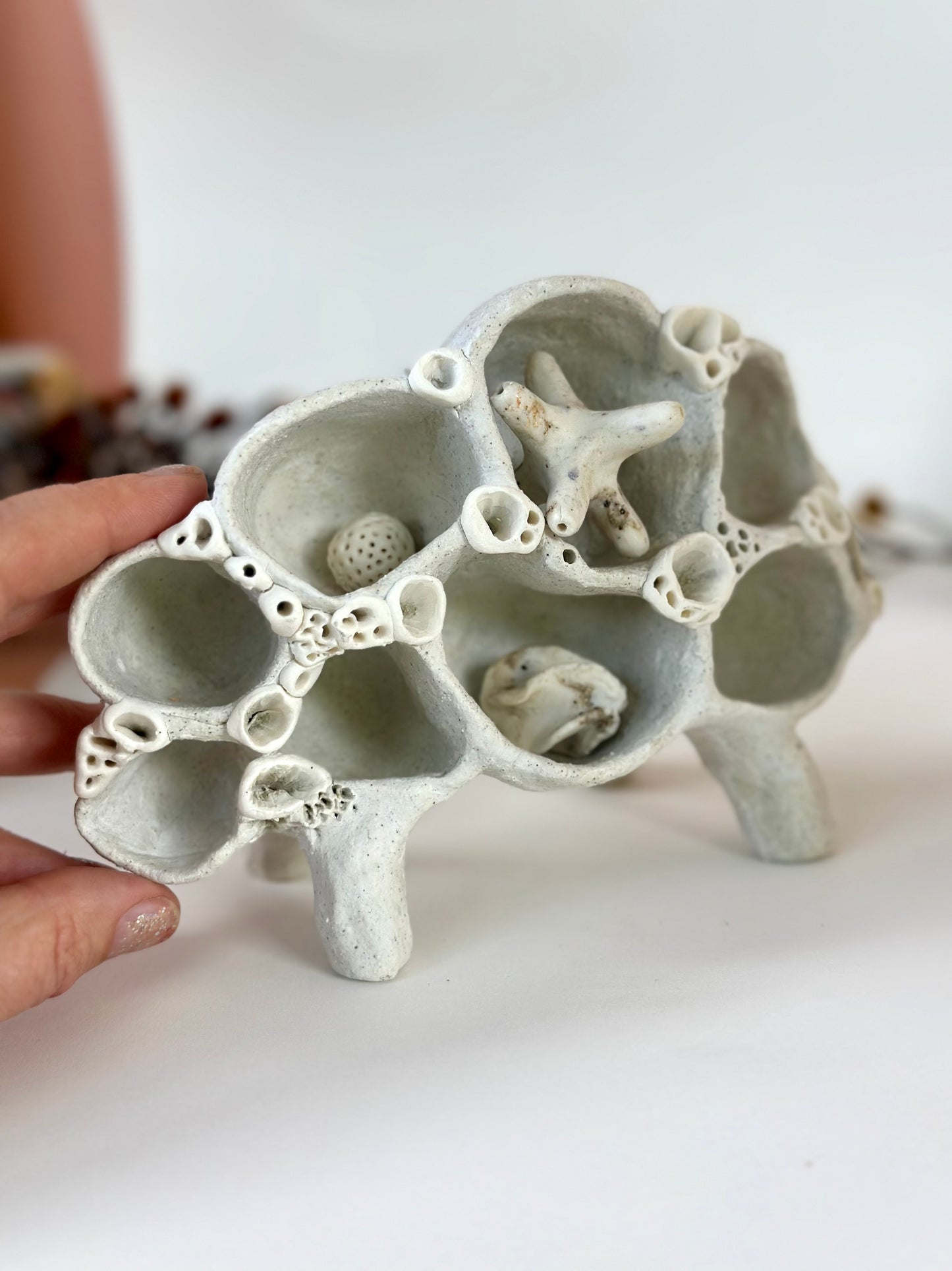 ‘treasure shelf’ with coral accents & accessories