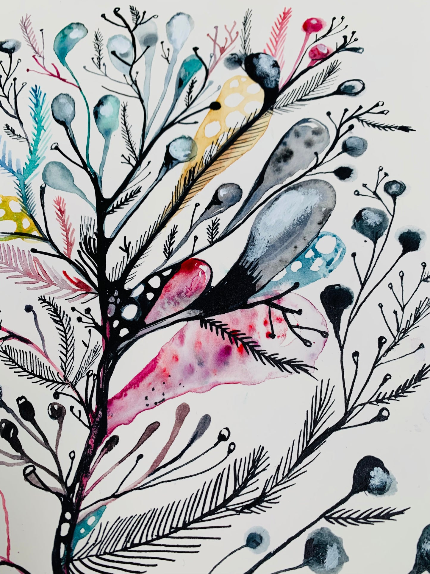 Seaweed study, 2 (A4)