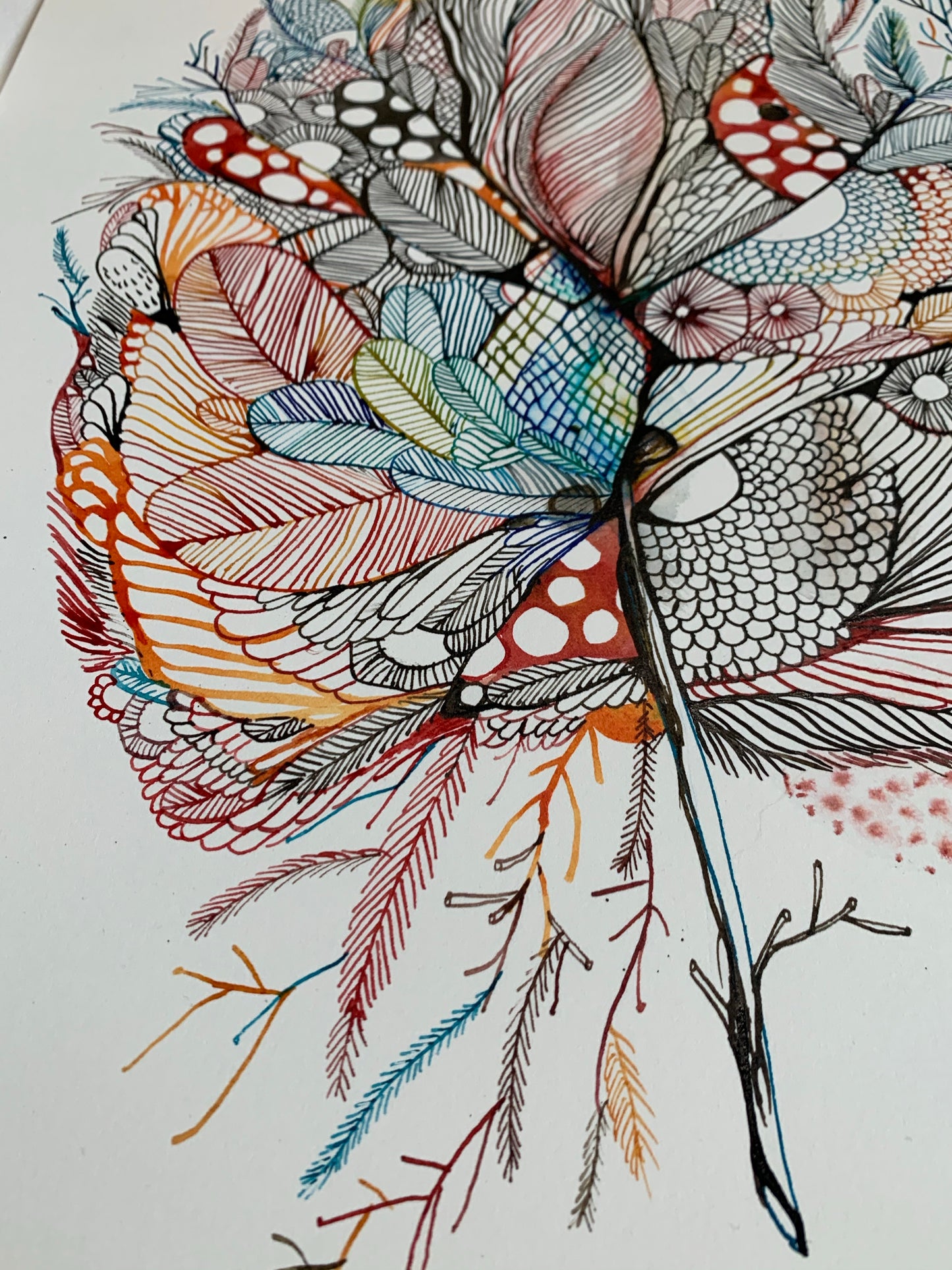 Seaweed study, red (a3)