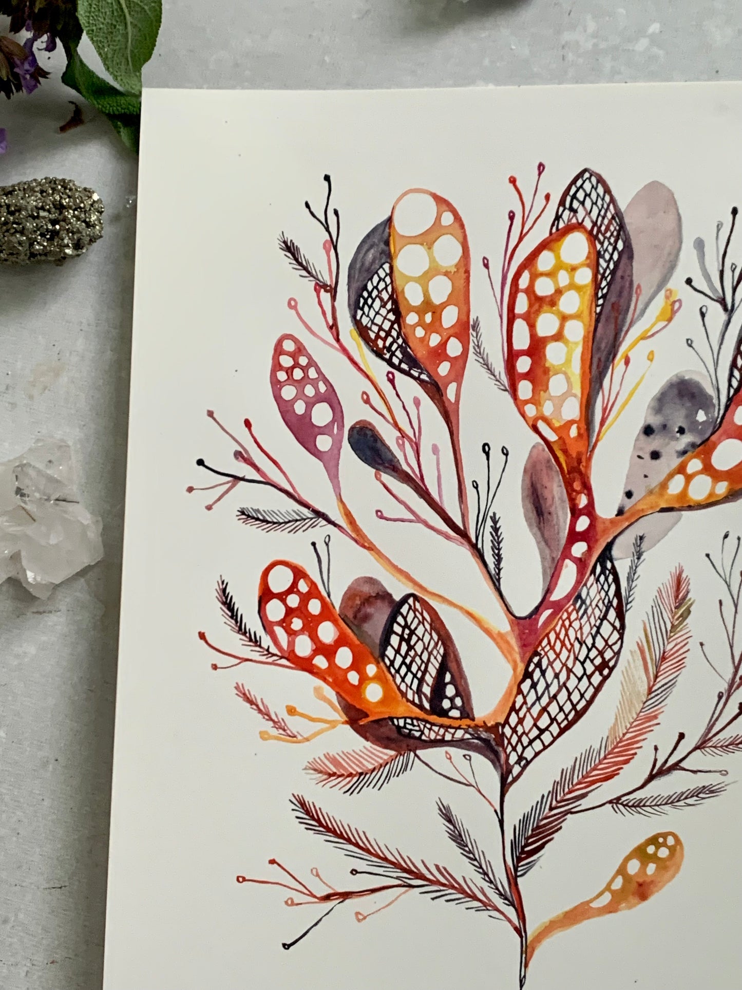 Seaweed study, 1 (A4)