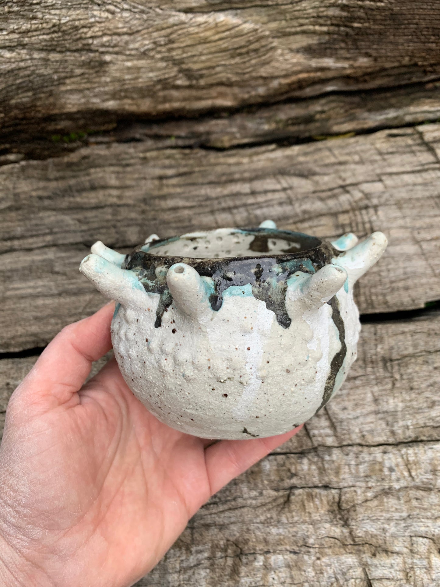 ‘Urchin’ planter pot, with drainage hole