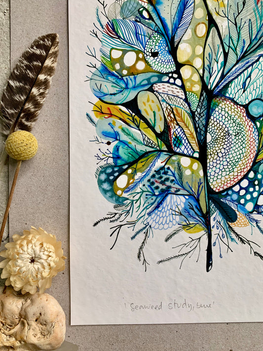‘Seaweed study, blue' giclee print in A3, A4 or a5