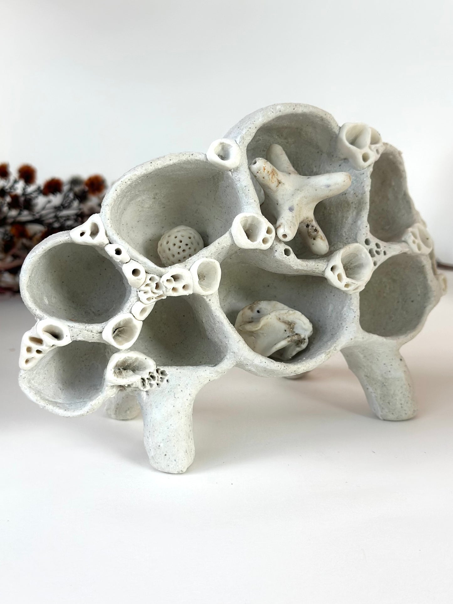 ‘treasure shelf’ with coral accents & accessories