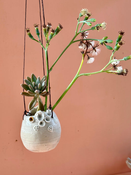 ‘Coral’ planter pot, tiny, hanging with drainage  hole