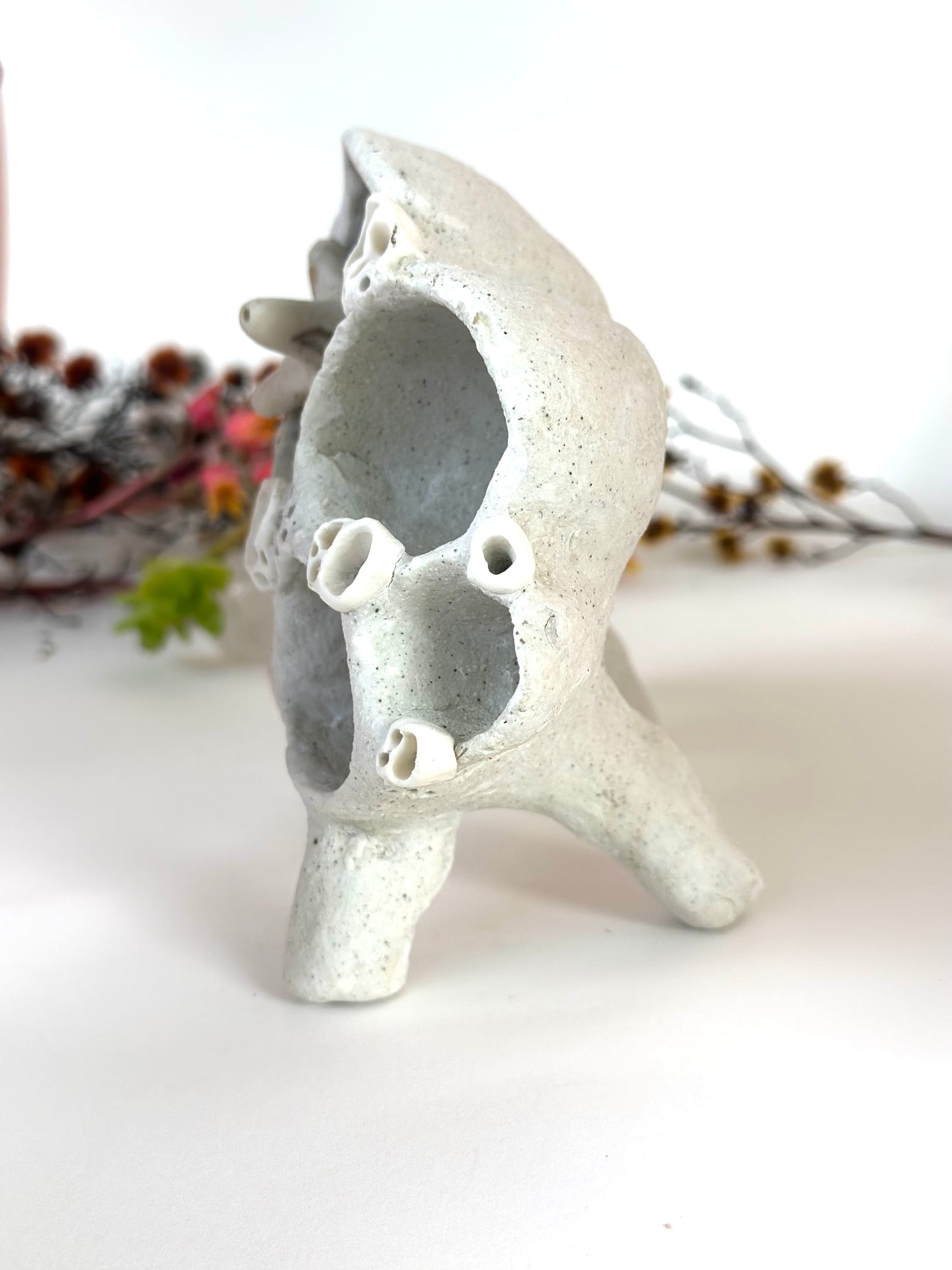 ‘treasure shelf’ with coral accents & accessories