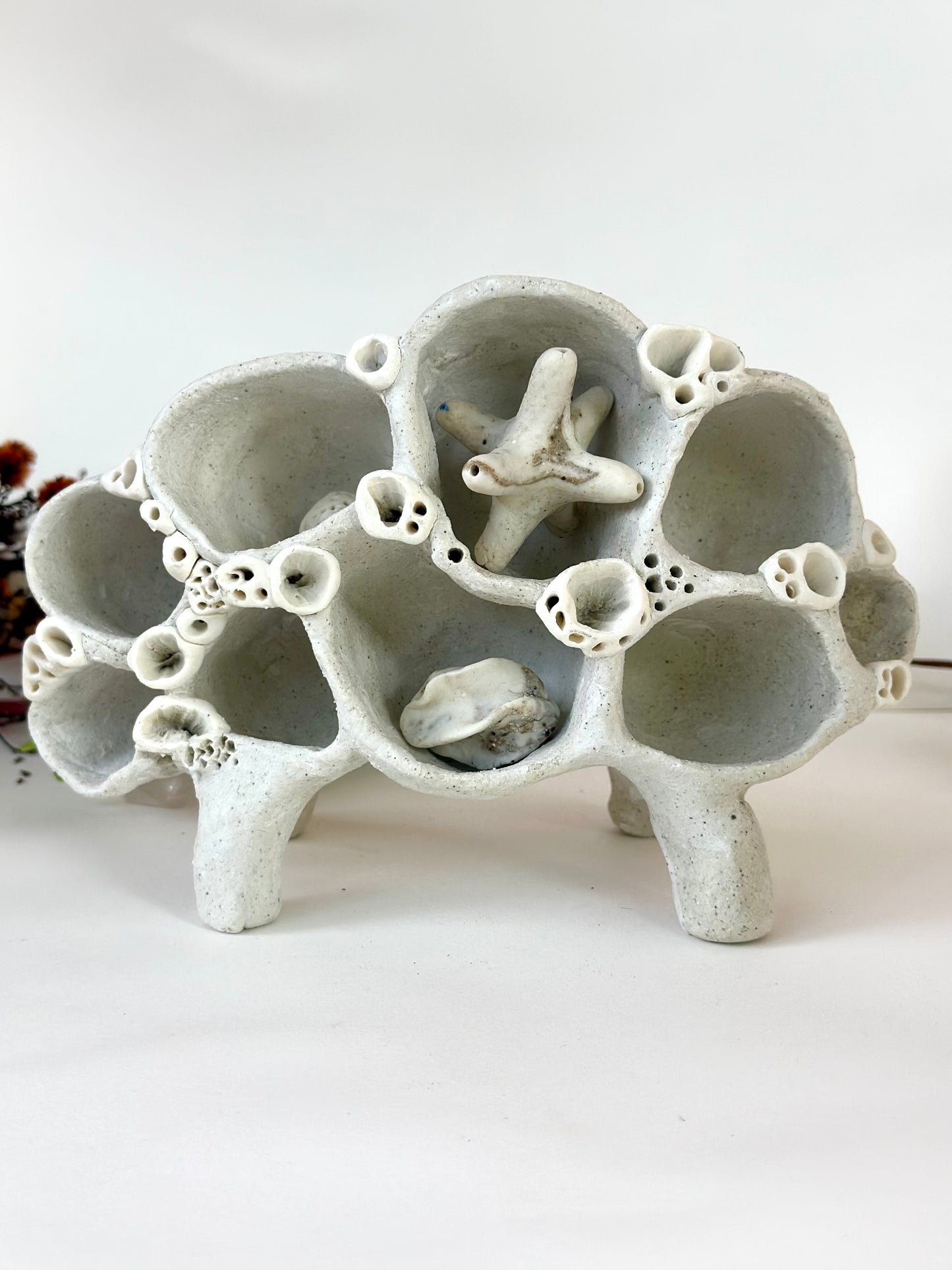 ‘treasure shelf’ with coral accents & accessories