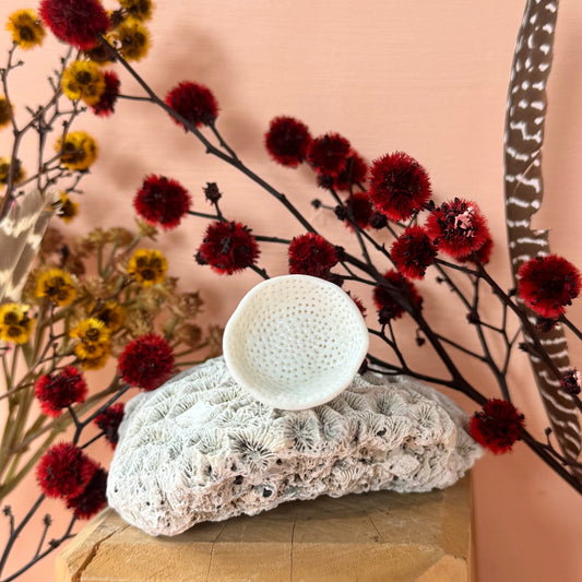 Hand Crafted White Coral Ring size O