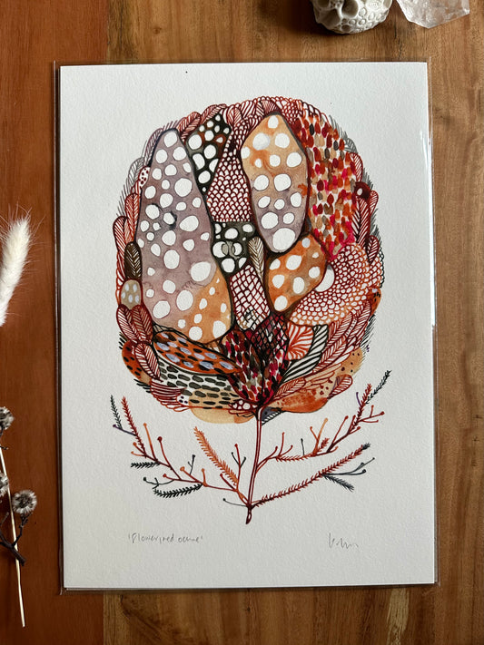 ‘Flower, red ochre’ giclee print in A3, A4 or a5