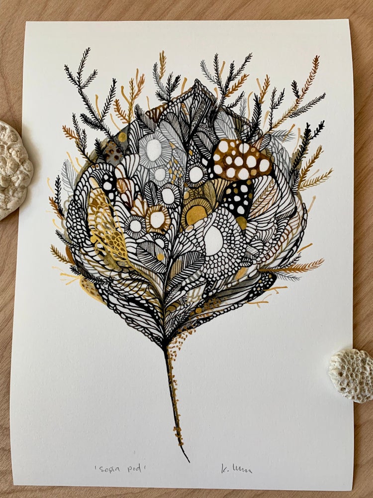 ‘Sepia pod’ giclee print with hand applied gold ink details