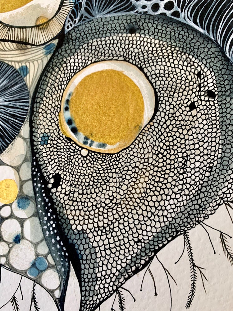 ‘Seed, detail’ giclee print with hand applied gold ink detail
