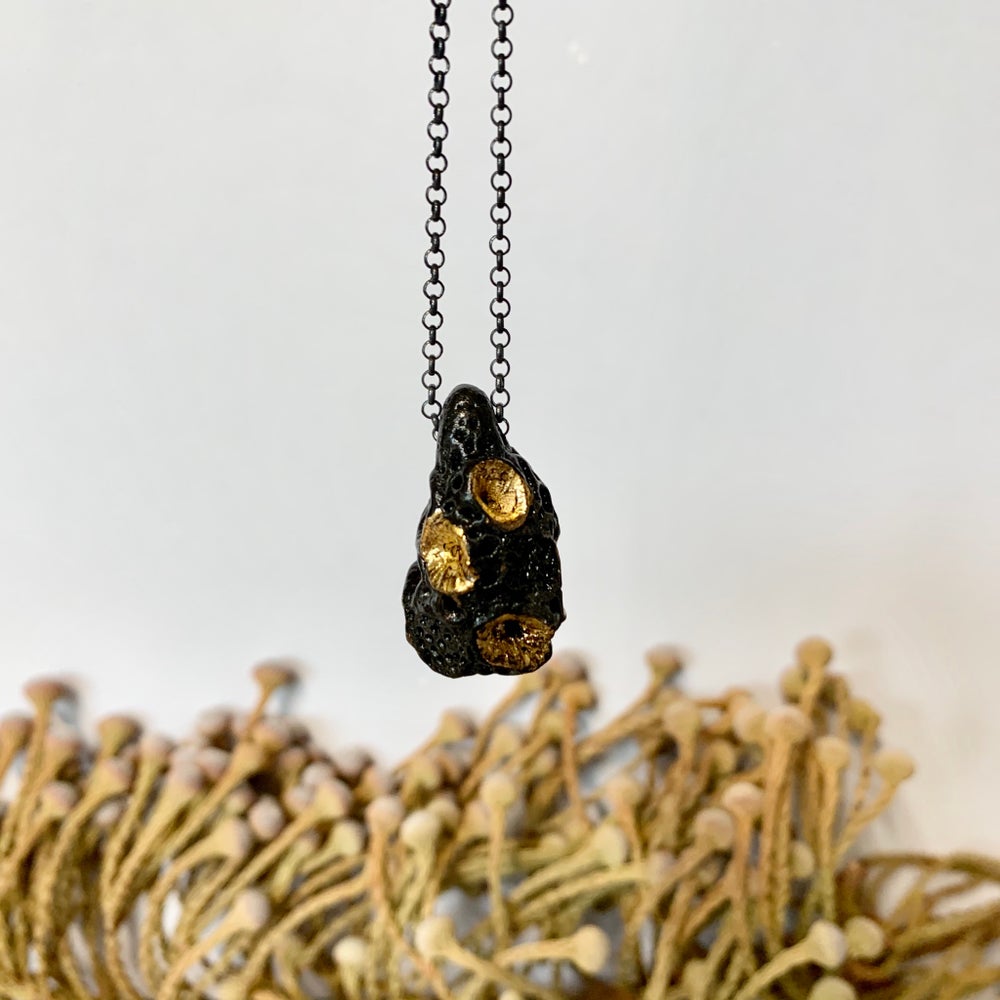 Black ‘rock coral’ pod pendant on oxidised sterling silver chain.