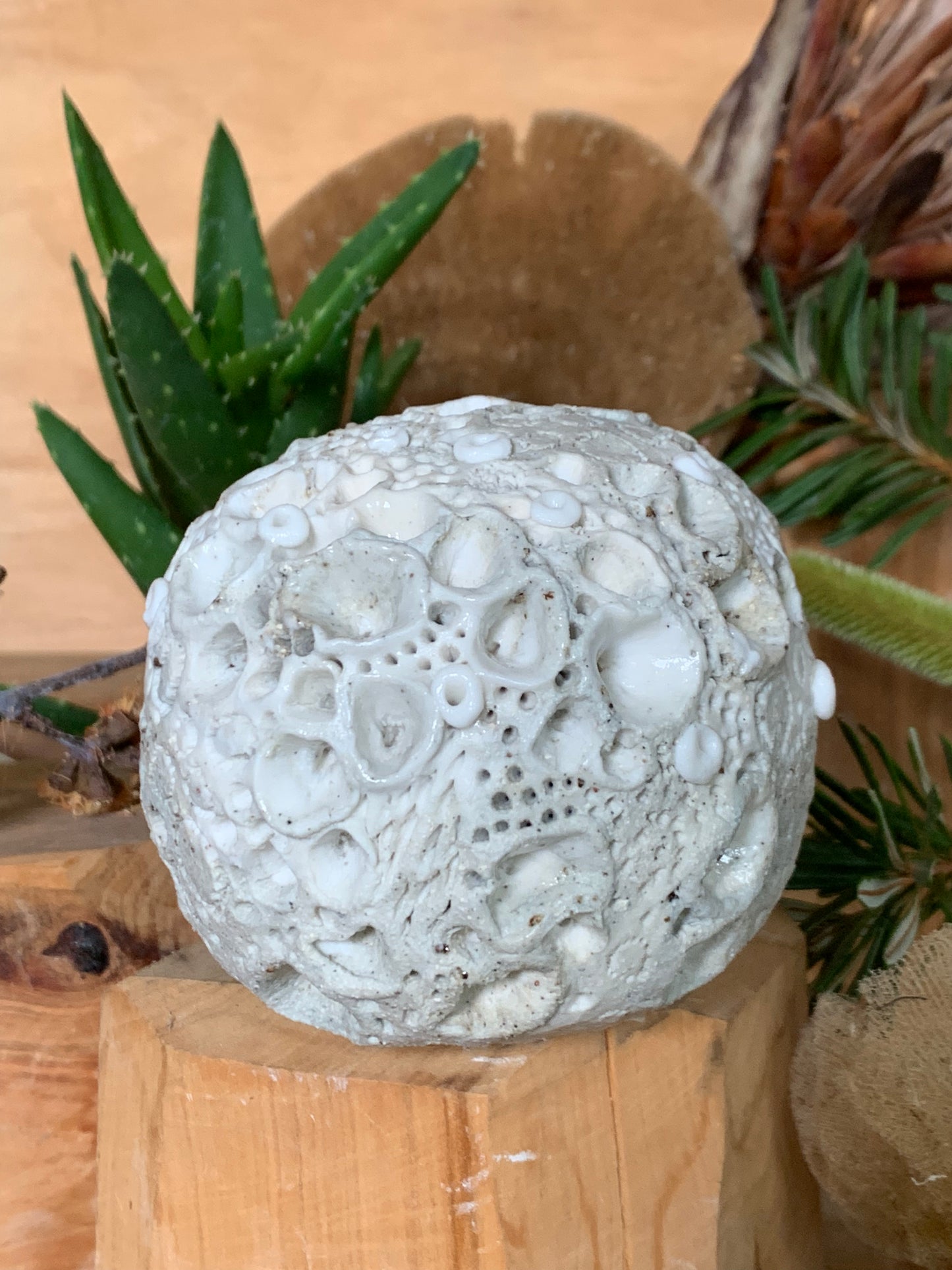 Hand made mixed clay paperweight’ choose one  ‘coral’