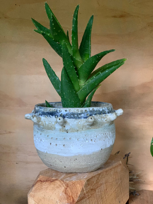 ‘Urchin’ planter pot, with drainage  hole