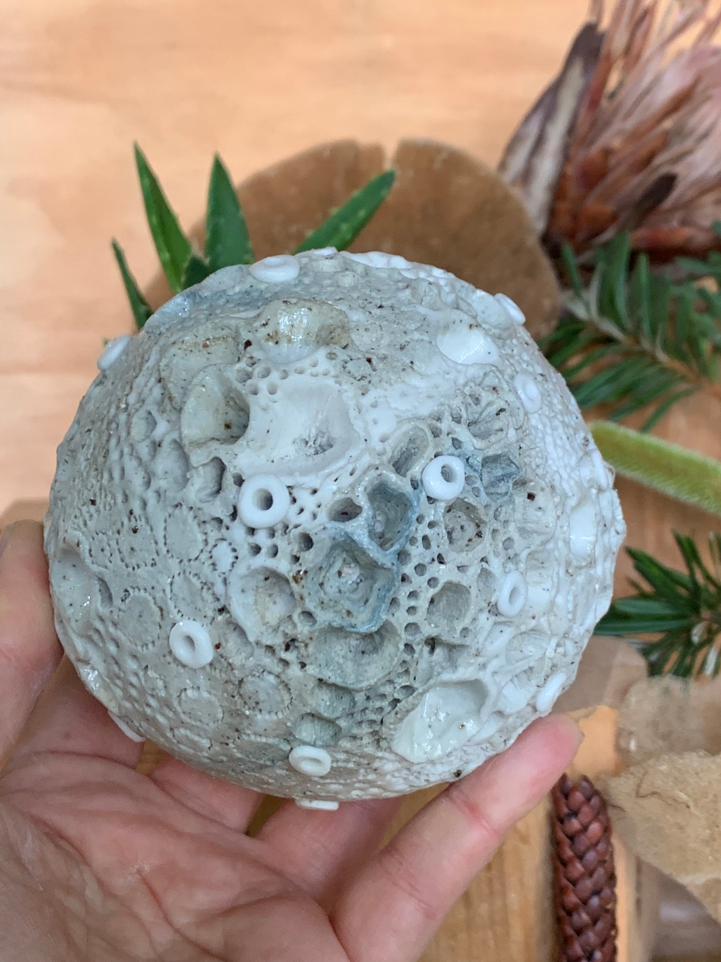 Hand made mixed clay paperweight’ choose one  ‘coral’